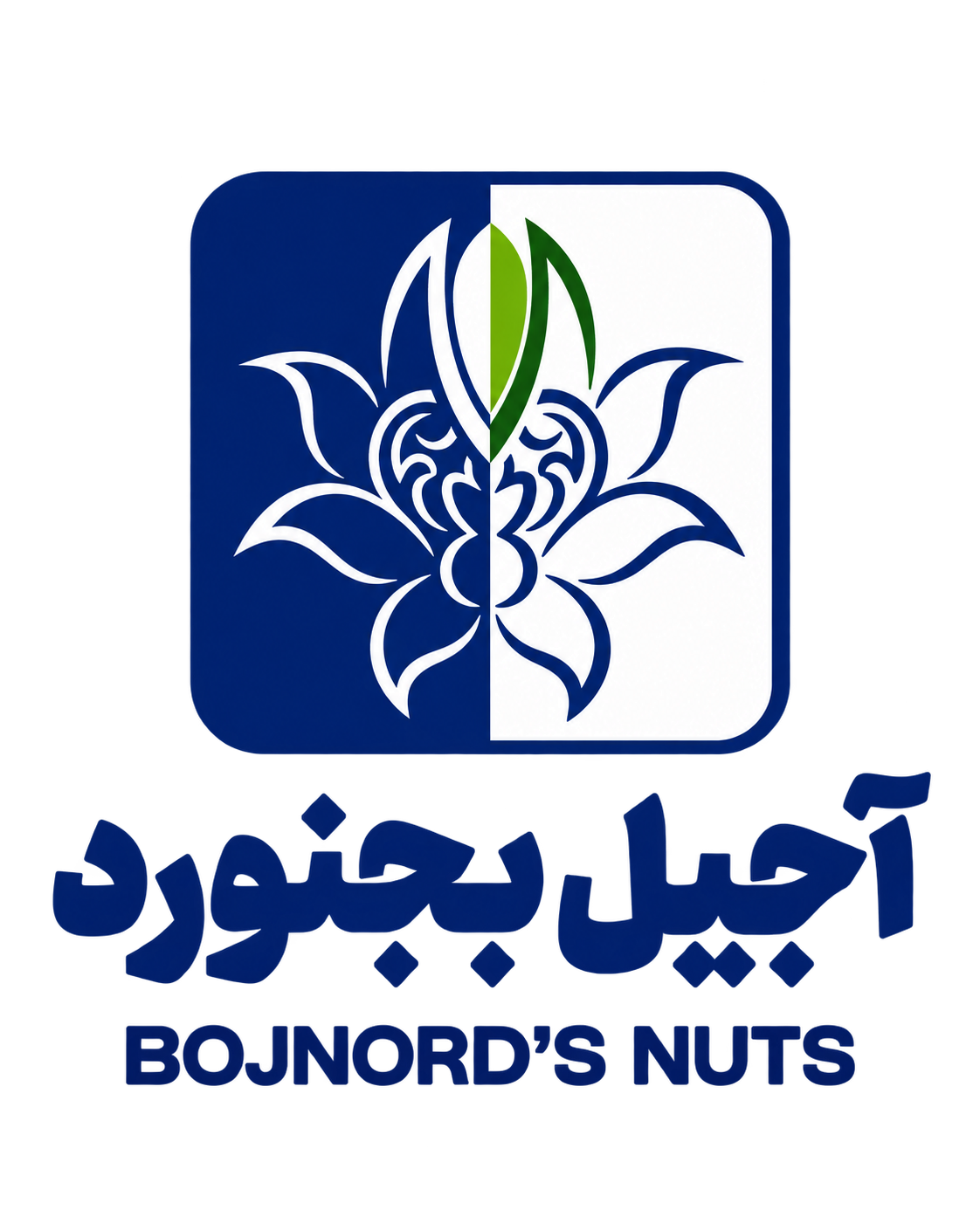 آجیل بجنوردی